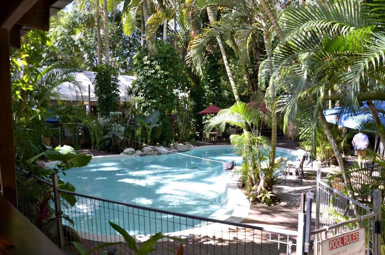 Pk'S Jungle Village Cape Tribulation Eksteriør billede